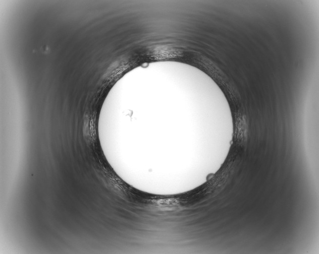 X0000103420426200810031334