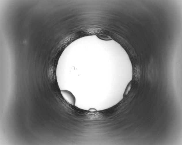 X0000103420428200810031334
