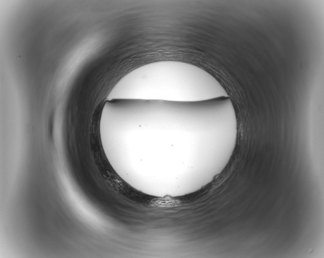 X0000103420429200810031334