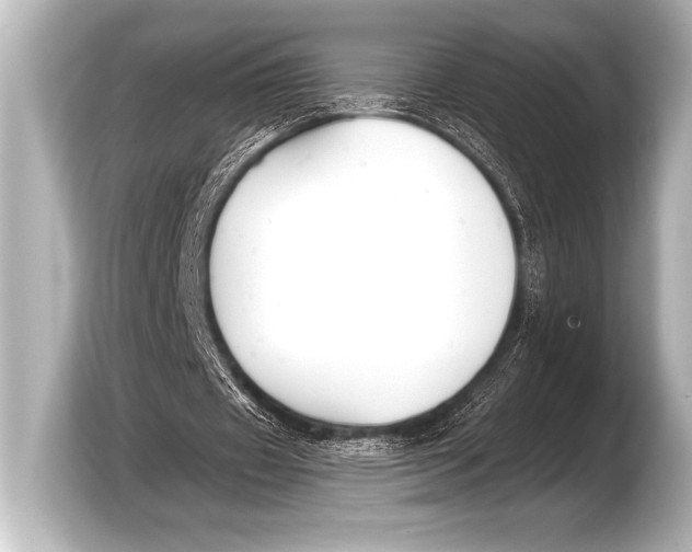 X0000103420433200810031334