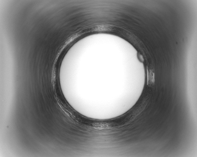 X0000103420435200810031334