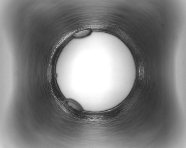X0000103420436200810031334
