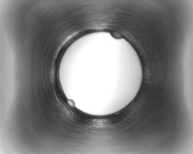 X0000103420440200810031334