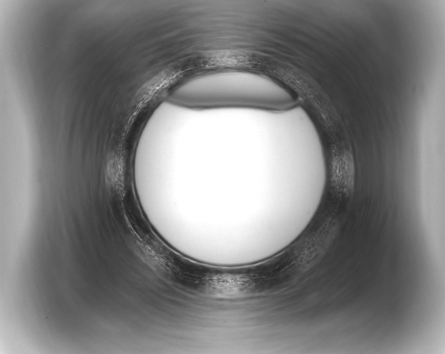 X0000103420444200810031334