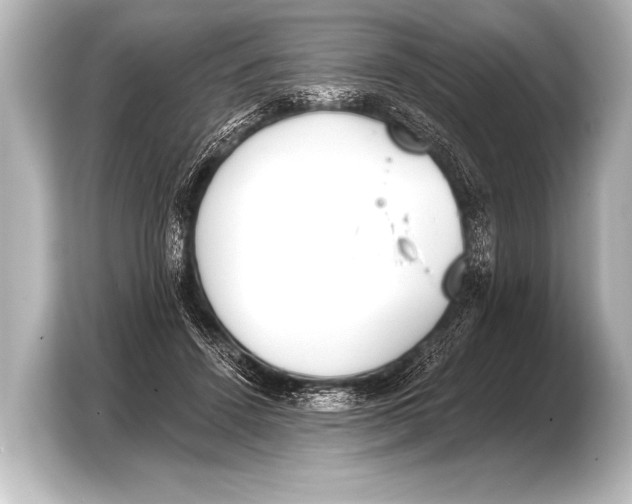 X0000103420456200810031334