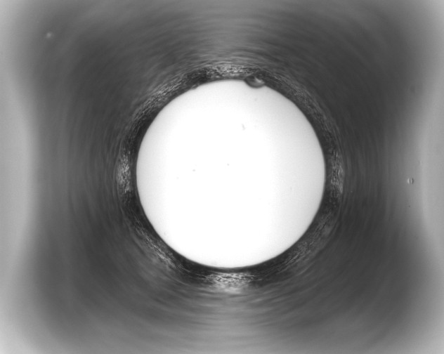 X0000103420465200810031334