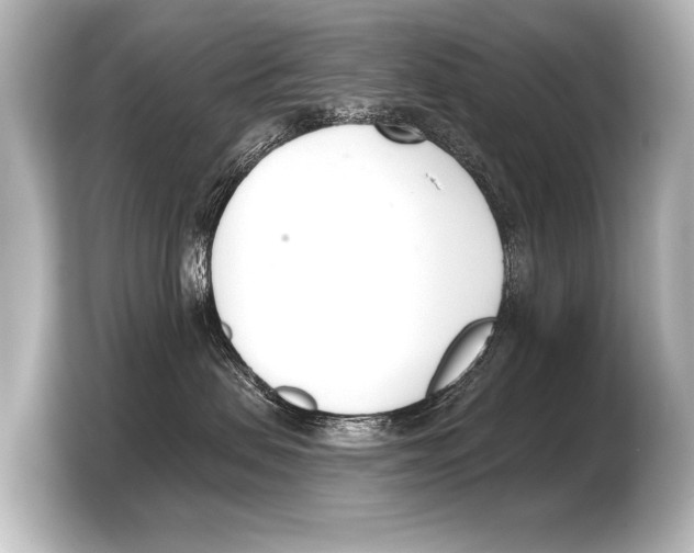 X0000103420479200810031334