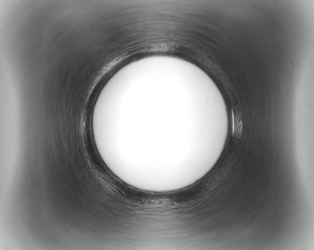 X0000103420483200810031334