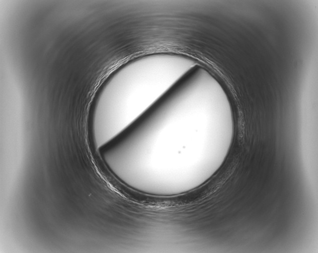 X0000103420485200810031334