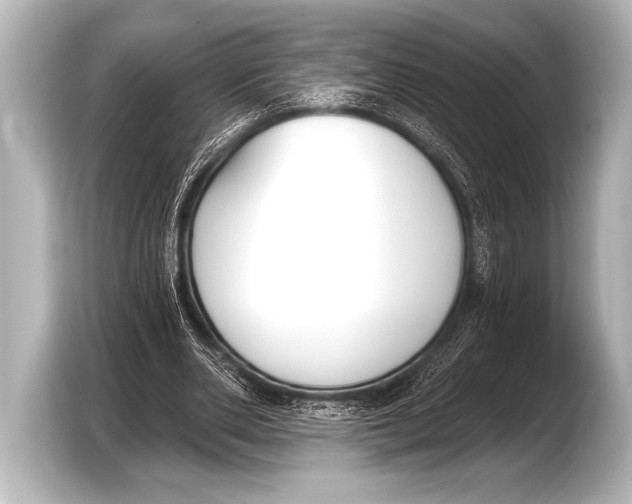 X0000103420486200810031334