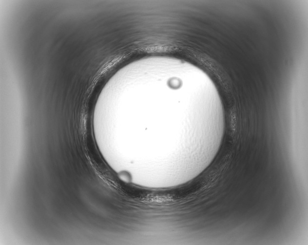 X0000103420491200810031334