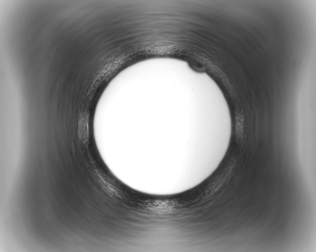 X0000103420493200810031334