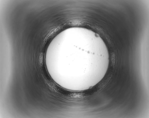 X0000103420495200810031334
