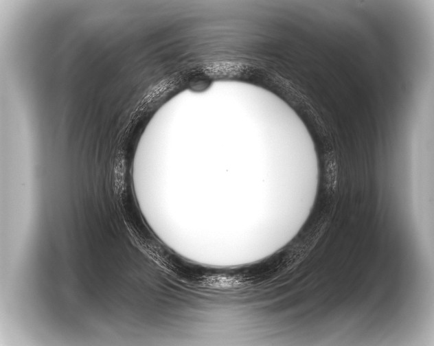 X0000103420498200810031333