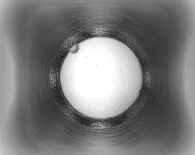 X0000103420503200810031333