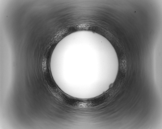 X0000103420504200810031333