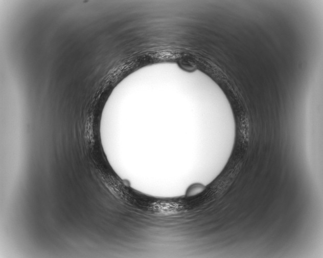 X0000103420512200810031333