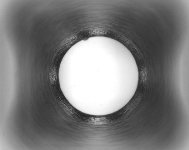 X0000103420517200810031333