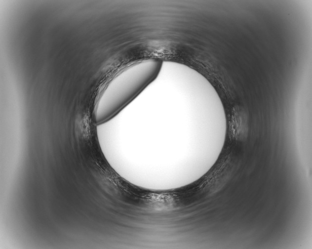 X0000103420520200810031333