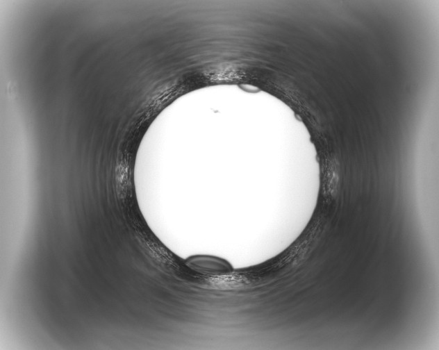 X0000103420521200810031333