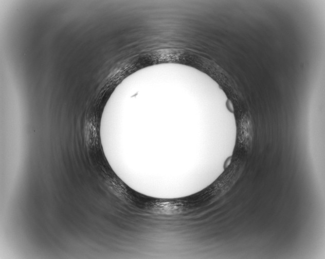 X0000103420522200810031333