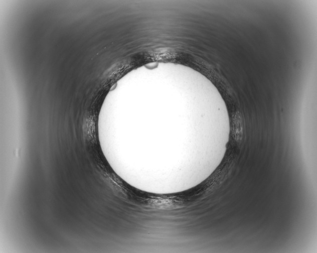 X0000103420523200810031333