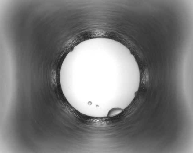 X0000103420524200810031333