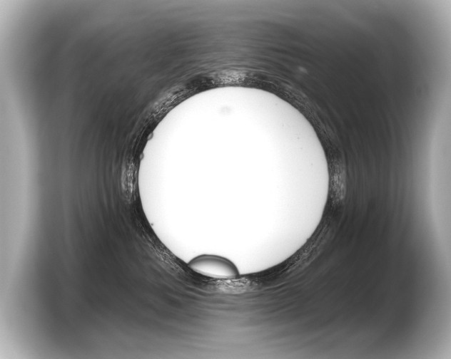 X0000103420525200810031333