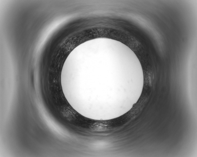 X0000103420526200810031333