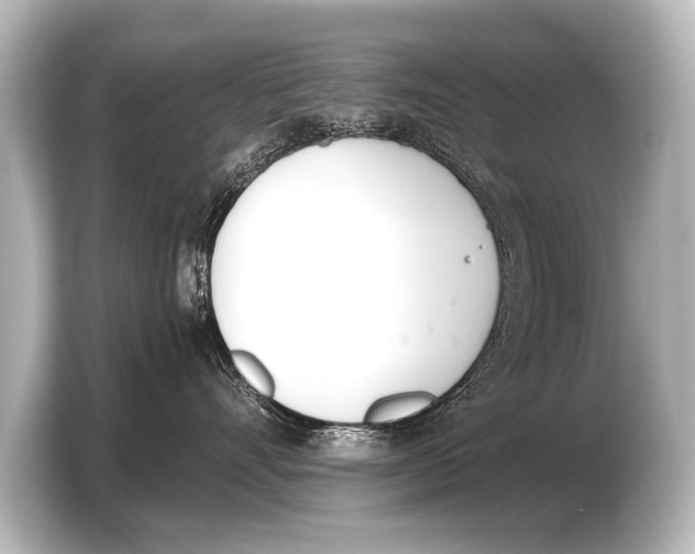 X0000103420528200810031333