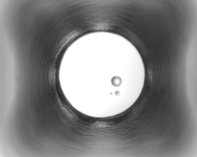 X0000103420534200810031333