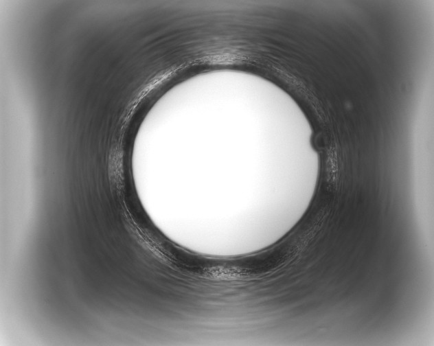X0000103420535200810031333