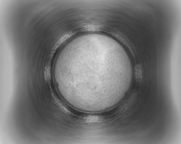 X0000103420581200810031332