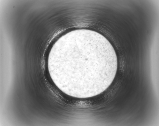 X0000103420584200810031332