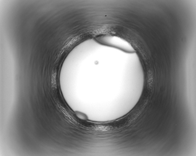 X0000103420585200810031332