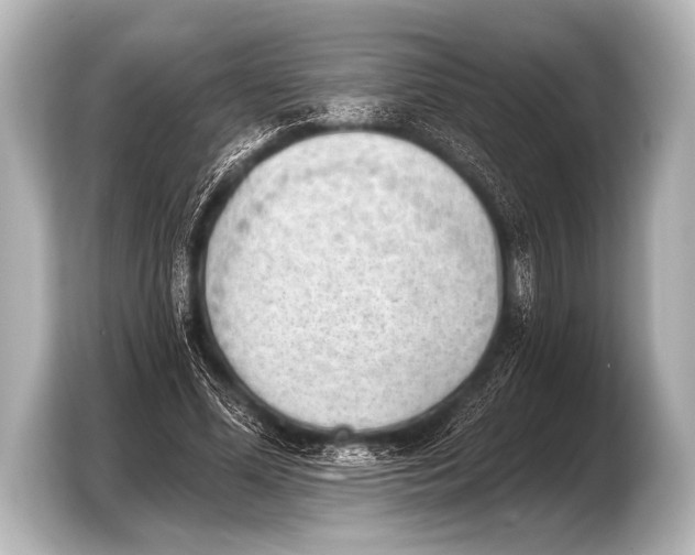 X0000103420588200810031332