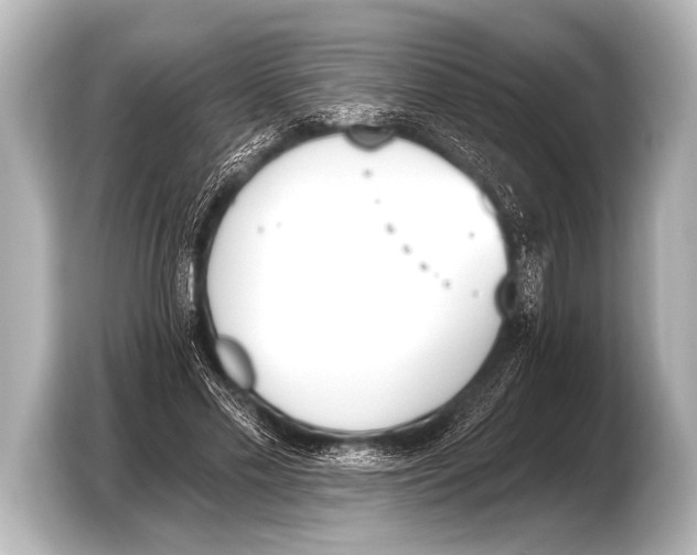 X0000103420589200810031332