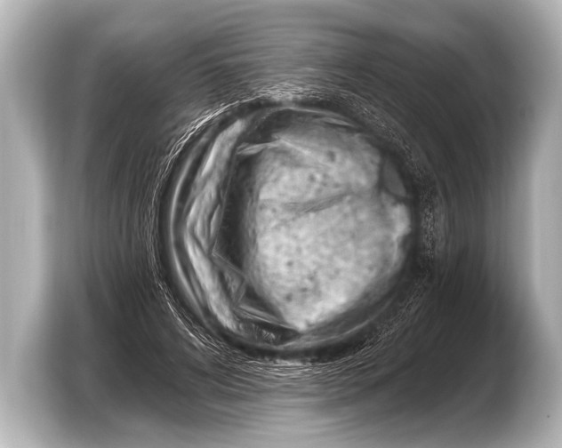 X0000103420592200810031332