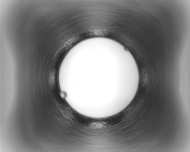 X0000103420595200810031332