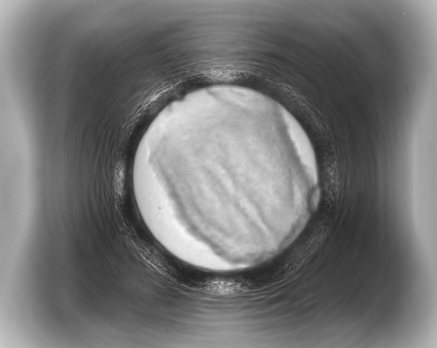 X0000103420596200810031332