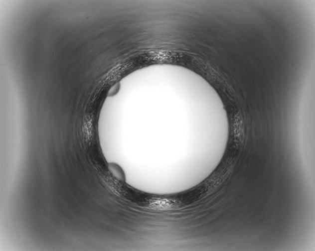 X0000103420611200810031332