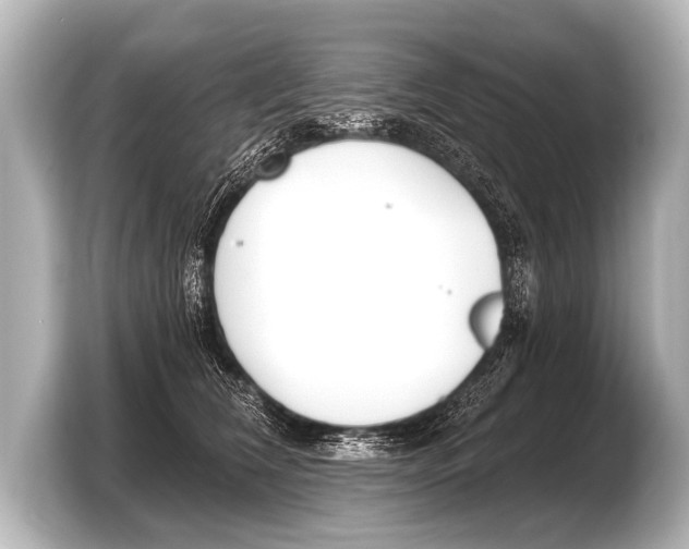 X0000103420612200810031332