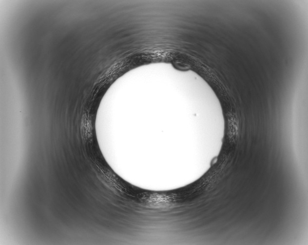 X0000103420613200810031332