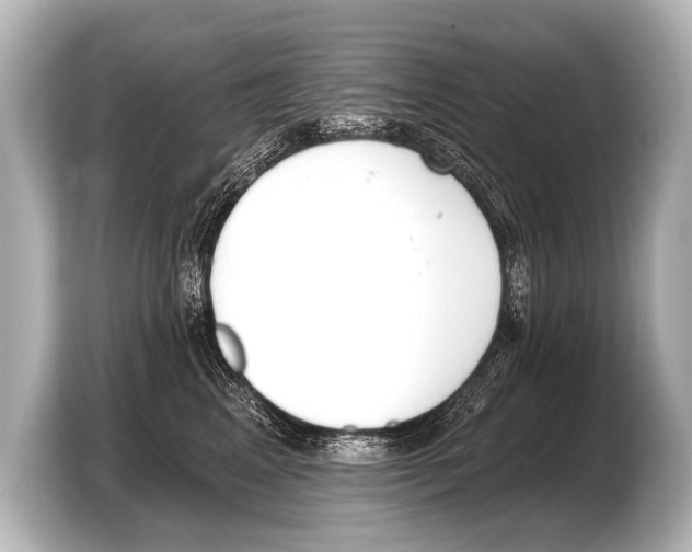 X0000103420617200810031332