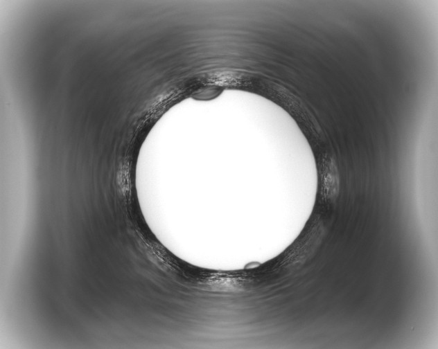 X0000103420620200810031332
