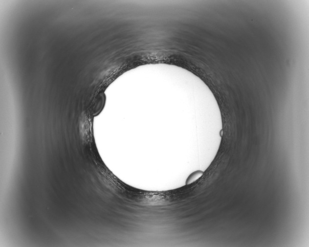X0000103420624200810031332
