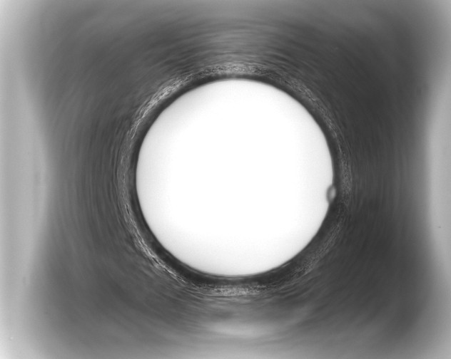 X0000103420625200810031331