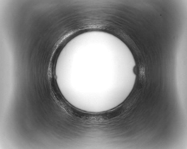X0000103420628200810031331