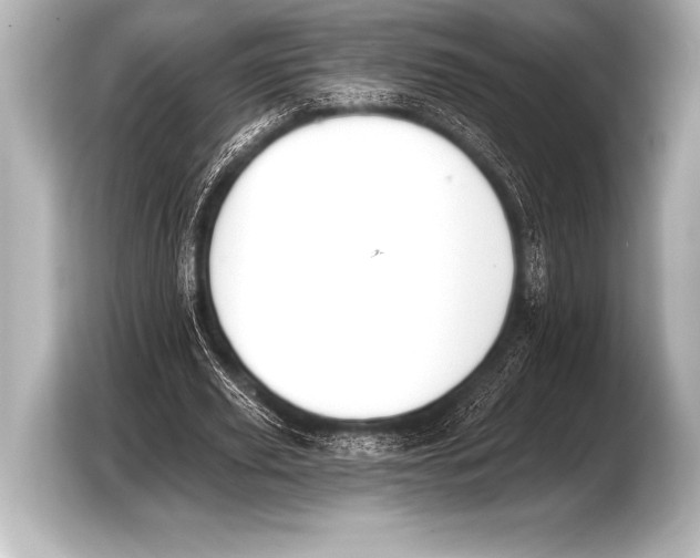 X0000103420629200810031331