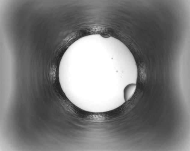 X0000103420668200810031332